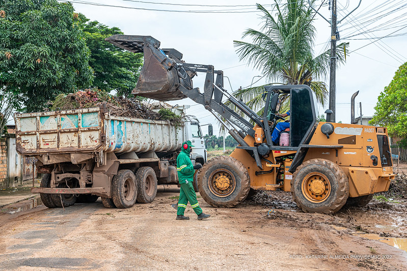 Cerca de 60 mil toneladas de galhadas já foram recolhidas das ruas de Boa Vista
