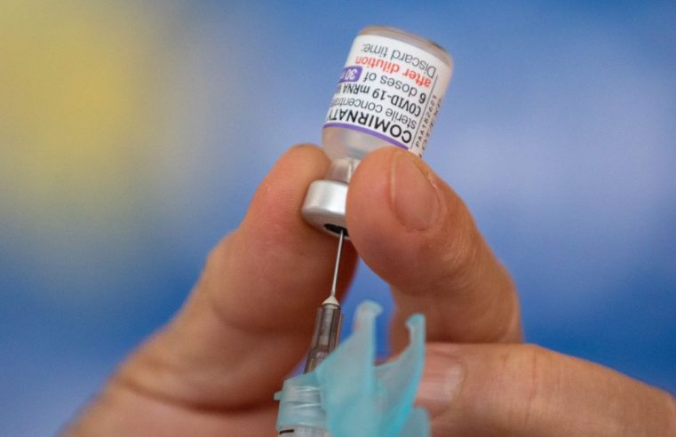 Mais de 6 milhões de brasileiros já tomaram reforço com vacina bivalente contra a Covid-19