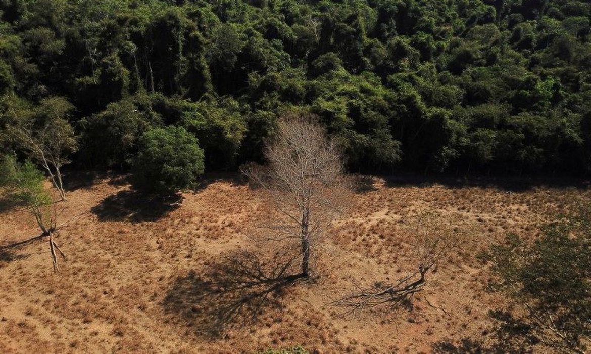 Emissão de CO2 na Amazônia aumenta com desmatamento em terras indígenas