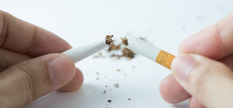 Ministério da Saúde lança campanha para incentivar produção de alimentos ao invés de tabaco