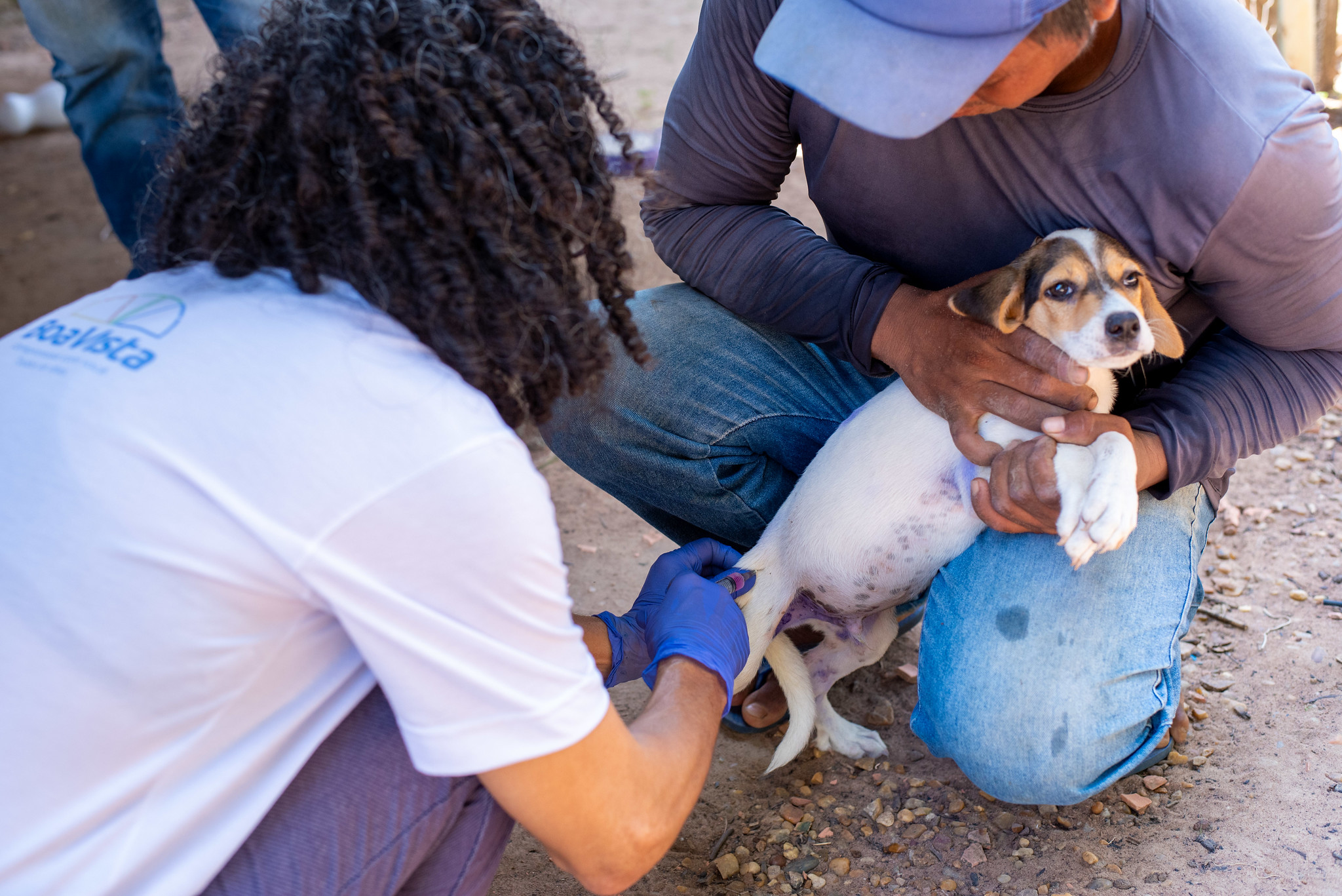 Vacinação antirrábica – Imunização de cães e gatos na zona rural de Boa Vista tem início e segue até 30 de setembro