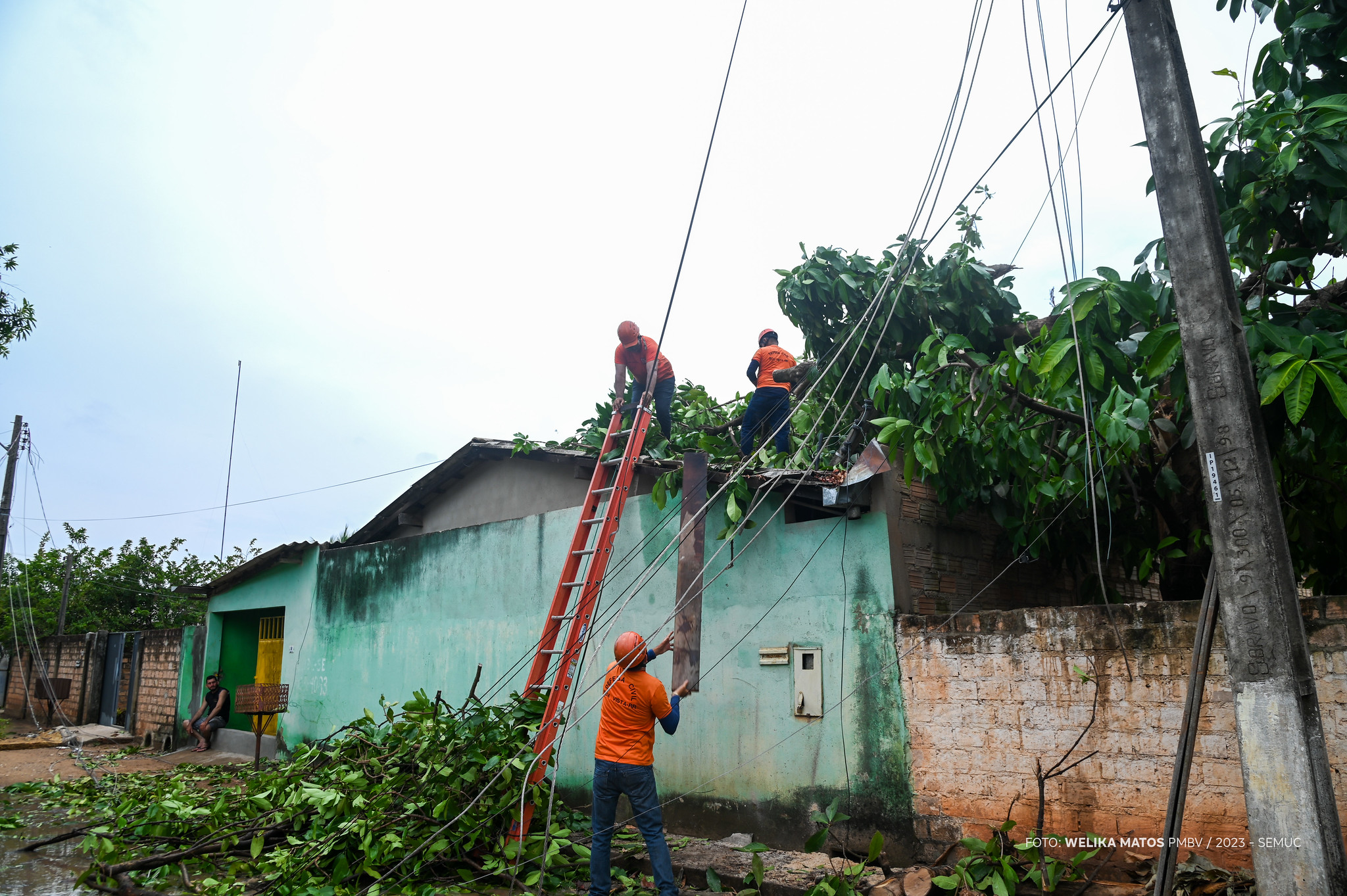 Defesa Civil Municipal – Força-tarefa retira árvores e galhadas após temporal do final de semana em Boa Vista