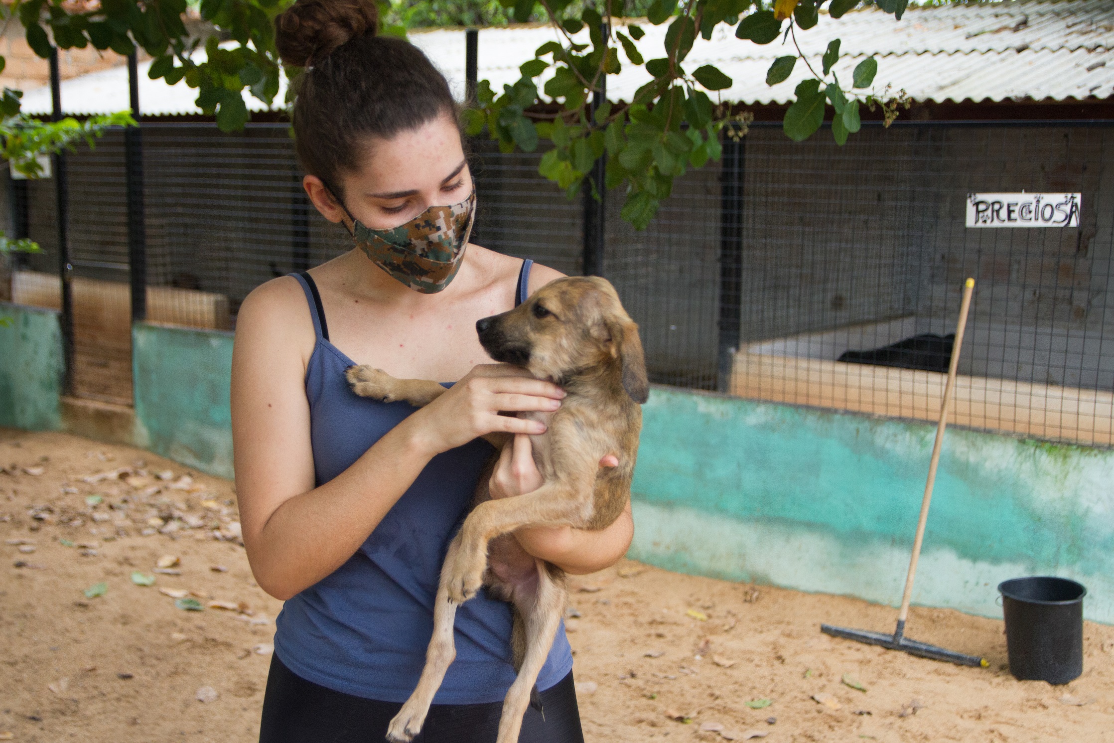 Lei protege a saúde de pessoas e animais sensíveis ao barulho de fogos de artifícios