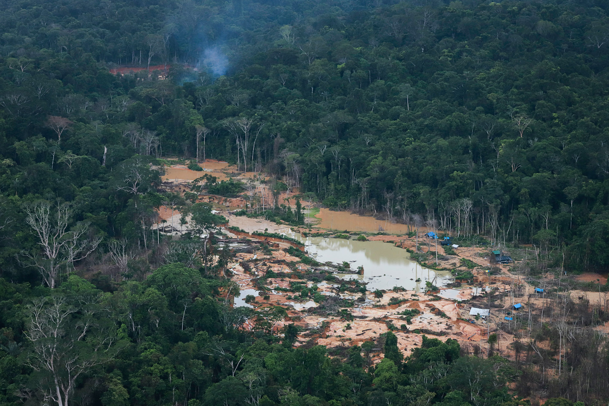 Adolescente indígena morre após ser estuprada por garimpeiros, denuncia liderança yanomami