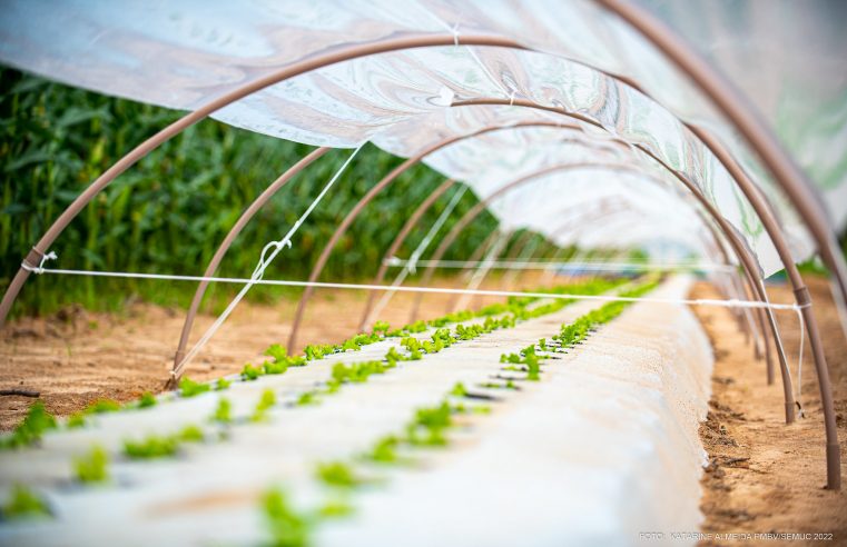 AgroBV 2022: feira de agricultura familiar de Boa Vista começa no dia 22