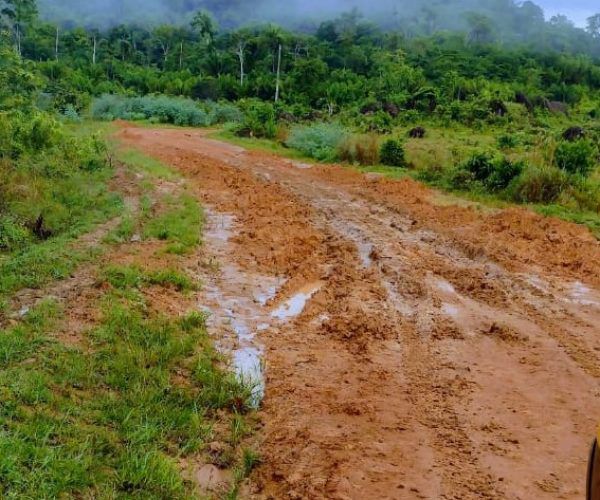 Moradores e produtores de vicinal em Alto Alegre pedem socorro; pontes e estradas estão destruídas