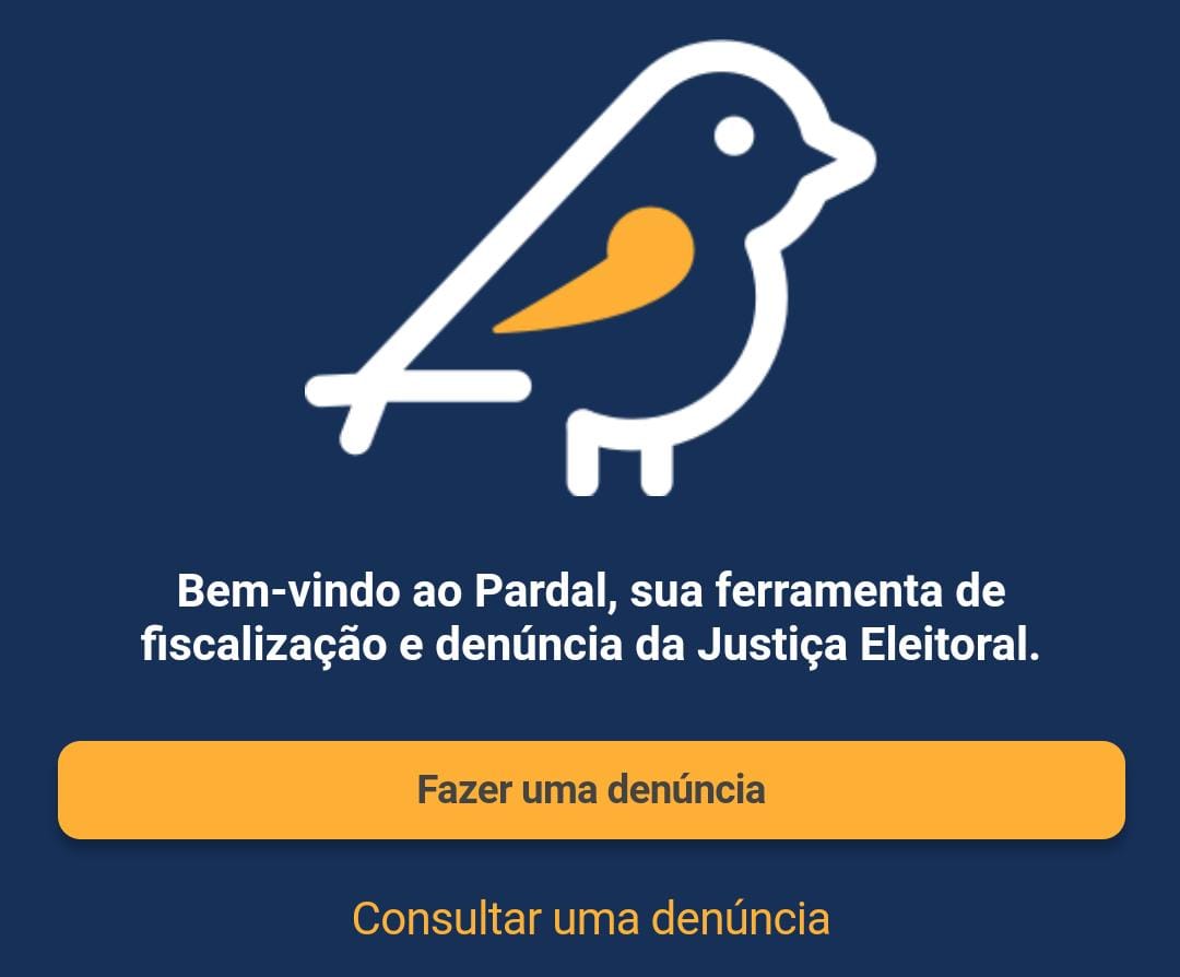 TSE disponibiliza aplicativo para denúncias de irregularidades sobre as Eleições 2022