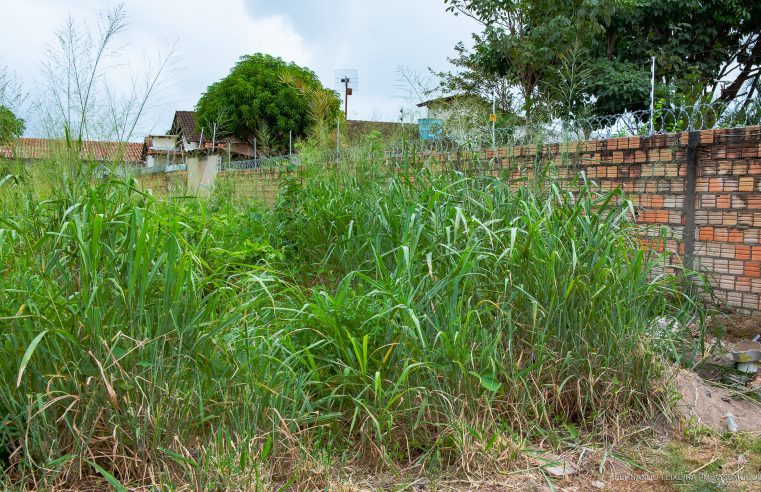 Donos de terrenos multados por falta de limpeza em Boa Vista terão desconto de 50% no pagamento