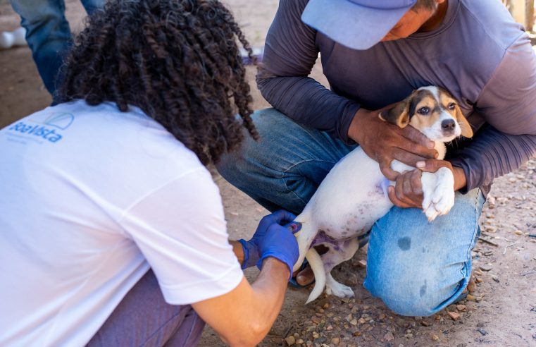 Vacinação antirrábica – Imunização de cães e gatos na zona rural de Boa Vista tem início e segue até 30 de setembro