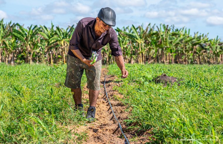 Agricultores indígenas de Boa Vista iniciam plantio de Melancia  