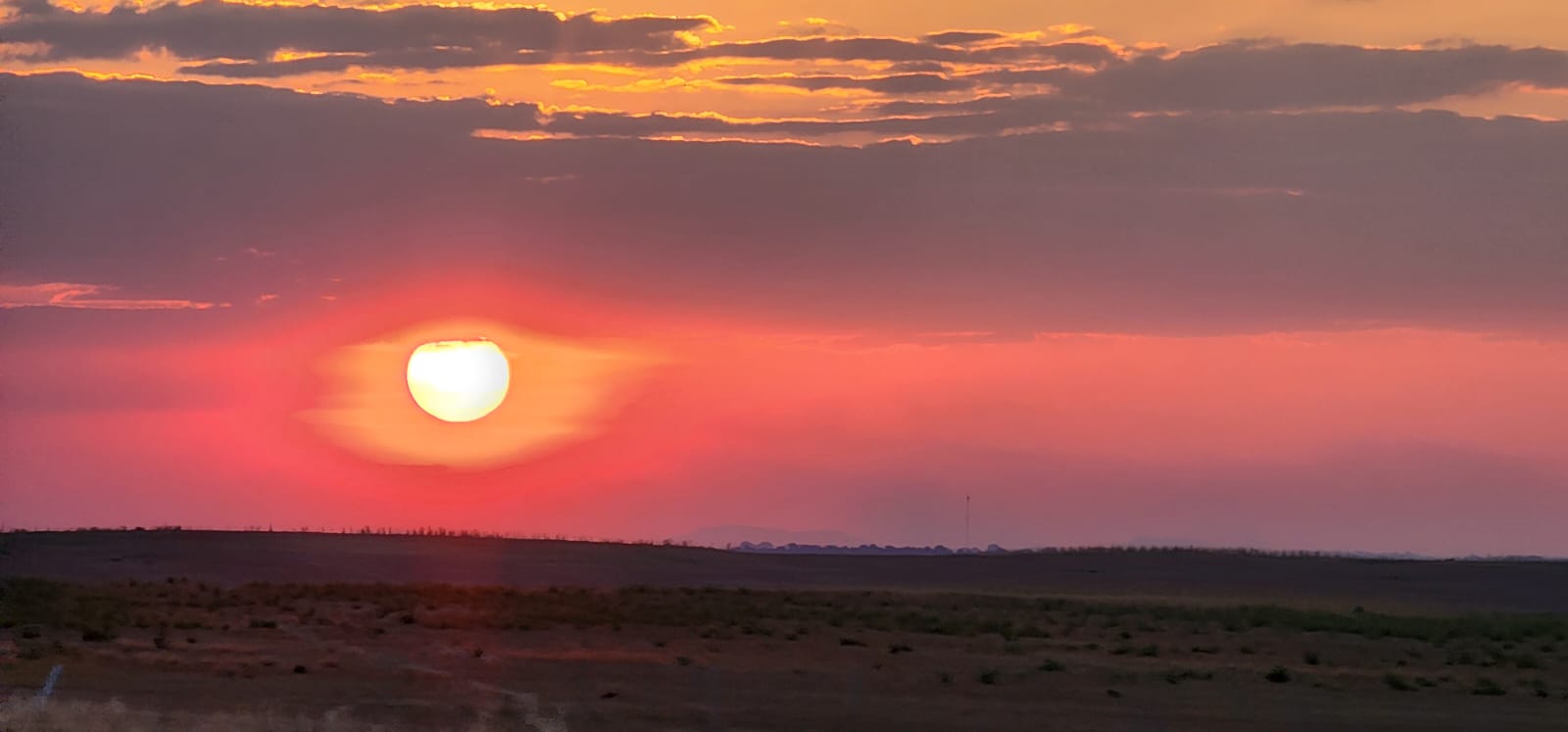 Fevereiro bate recorde histórico de calor na Terra