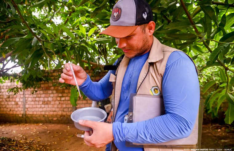 2º LIRAa 2024- Boa Vista inicia novo levantamento para identificar infestação do Aedes aegypti em Boa Vista