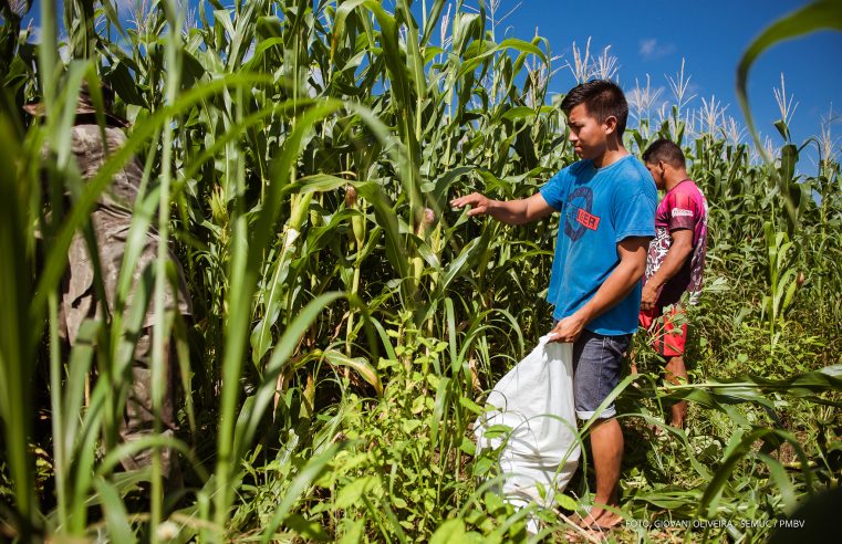 Produtores rurais de Boa Vista já podem solicitar inscrição no Cadastro Nacional da Agricultura Familiar