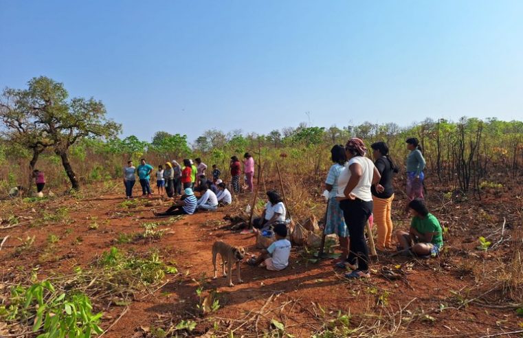 Funai e parceiros implementam roças comunitárias em terras indígenas