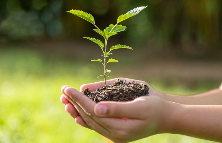 Estão abertas as inscrições para a 3ª Conferência Municipal do Meio Ambiente