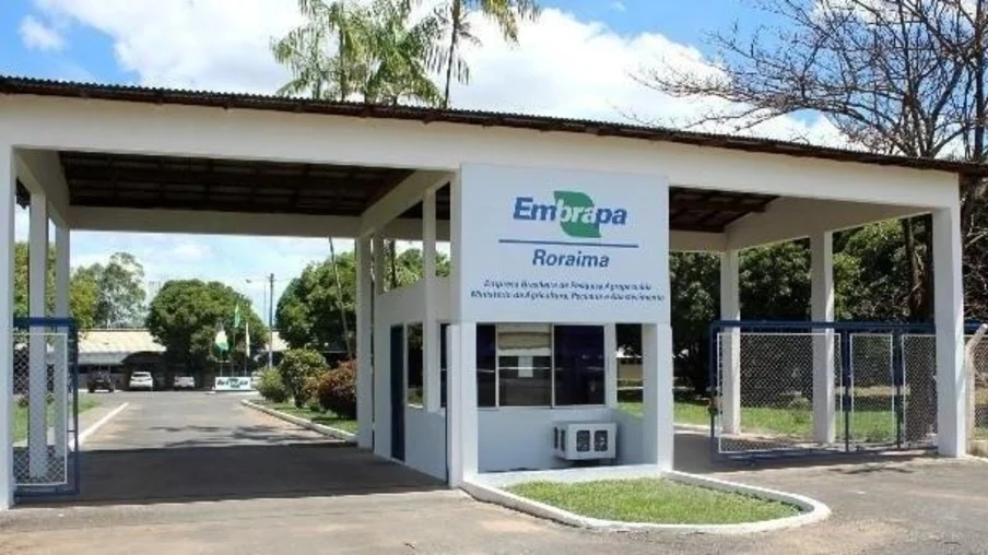 Embrapa Roraima – Inscrições para bolsistas de estímulo à inovação encerram dia 04 de dezembro