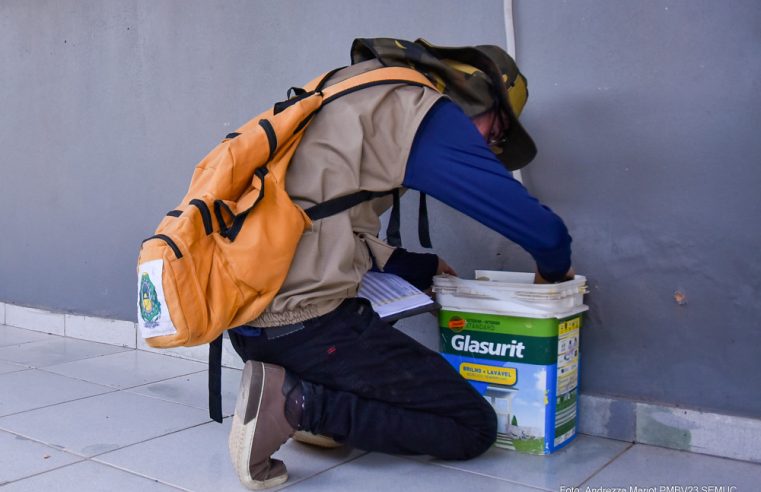 Combate ao Aedes aegypti em Boa Vista é constante