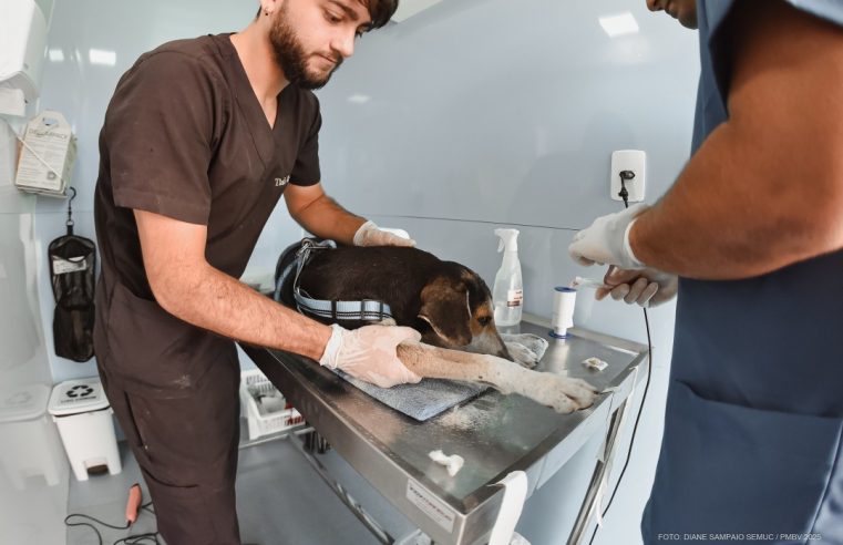 Interessados em credenciamento para tratamento de cães abandonados devem enviar documentação por e-mail