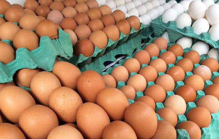 Ovos terão carimbo com data de validade na casca