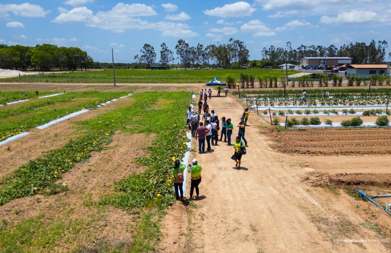 Dia de Campo apresenta novas técnicas para agricultores familiares em Boa Vista
