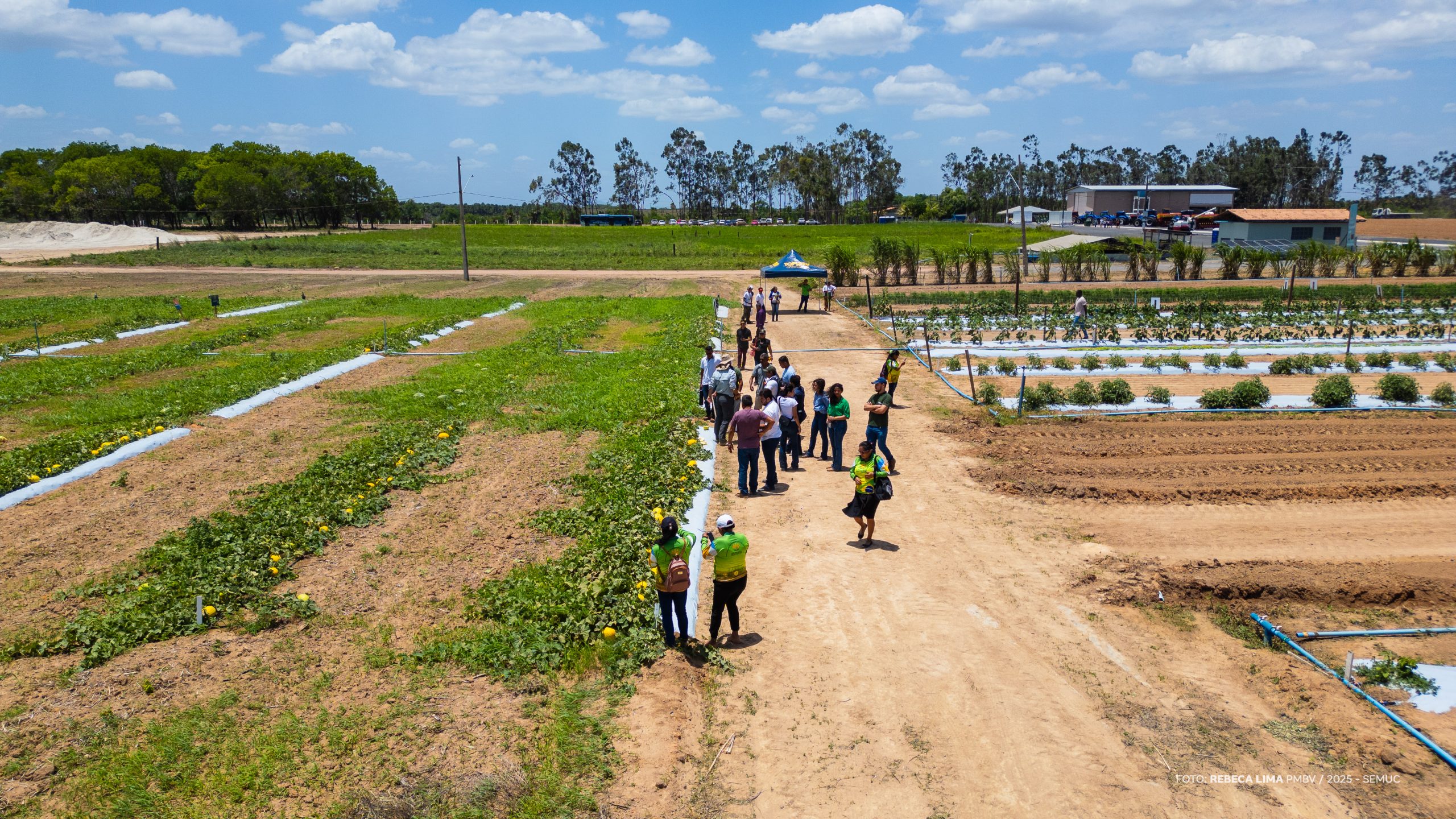 Dia de Campo apresenta novas técnicas para agricultores familiares em Boa Vista