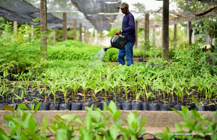Horto Municipal – Doação de mudas será retomada no final de abril