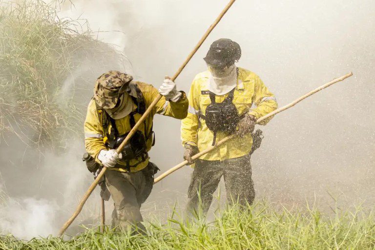 Com alta nos focos de incêndio, Roraima será contemplado com brigadas federais para combate ao fogo