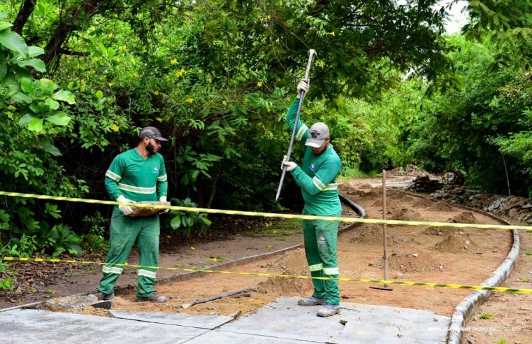 Bosque dos Papagaios entra em reta final de obras de revitalização e reabre em agosto