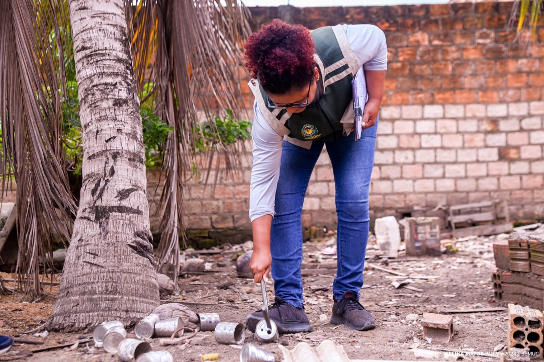 Casas e comércios lideram focos do Aedes aegypti em Boa Vista, aponta levantamento