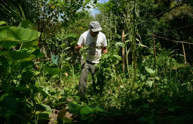 Declaração do ITR 2025 já pode ser entregue — agora com opção online
