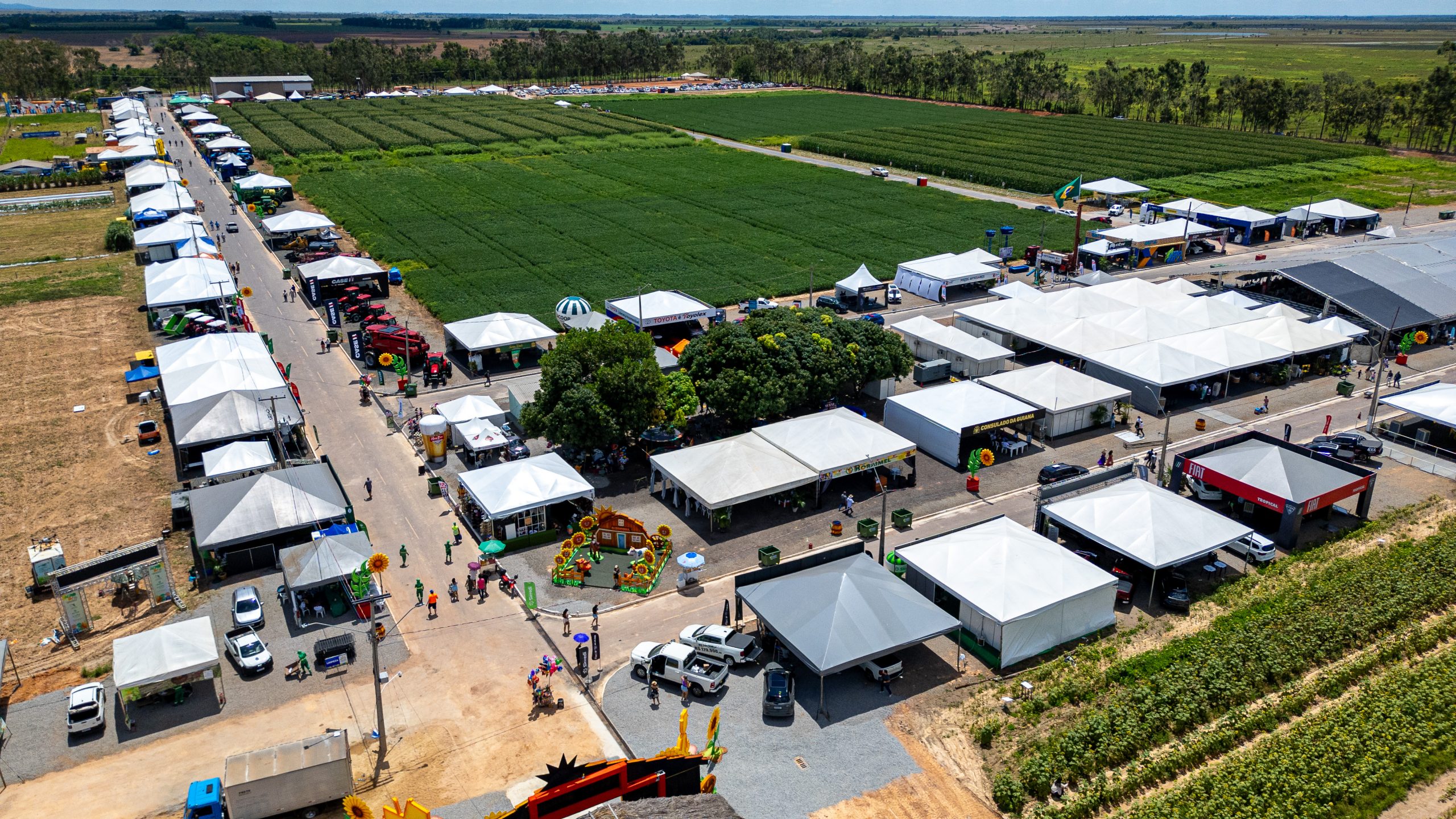 AgroBV 2025 – Campo experimental vira laboratório de inovação em Roraima