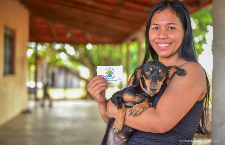 Vacinação antirrábica em Boa Vista mobiliza dezenas de pontos neste sábado (23)
