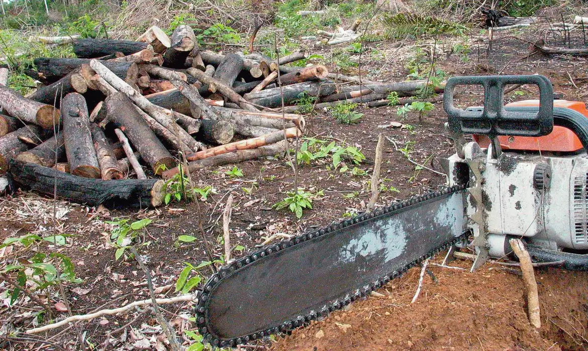 Brasil perdeu 111,7 milhões de hectares de vegetação nativa em quatro décadas, revela estudo
