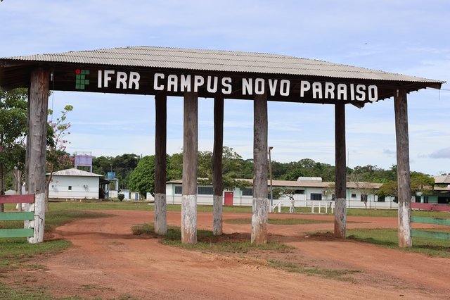 IFRR abre 150 vagas para pós-graduação gratuita em Produção Animal na modalidade EAD