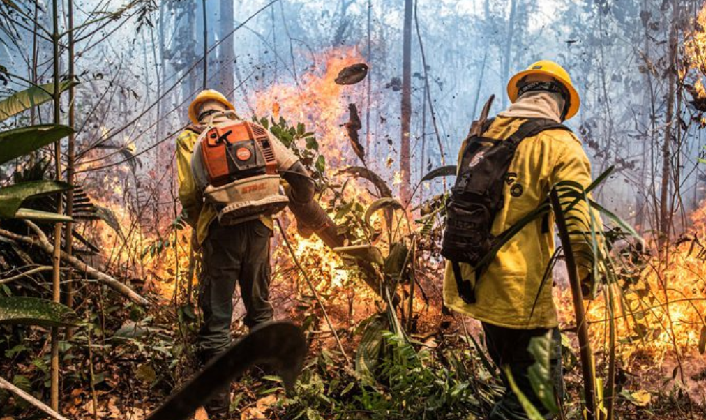 Brasil registra queda histórica nos focos de calor