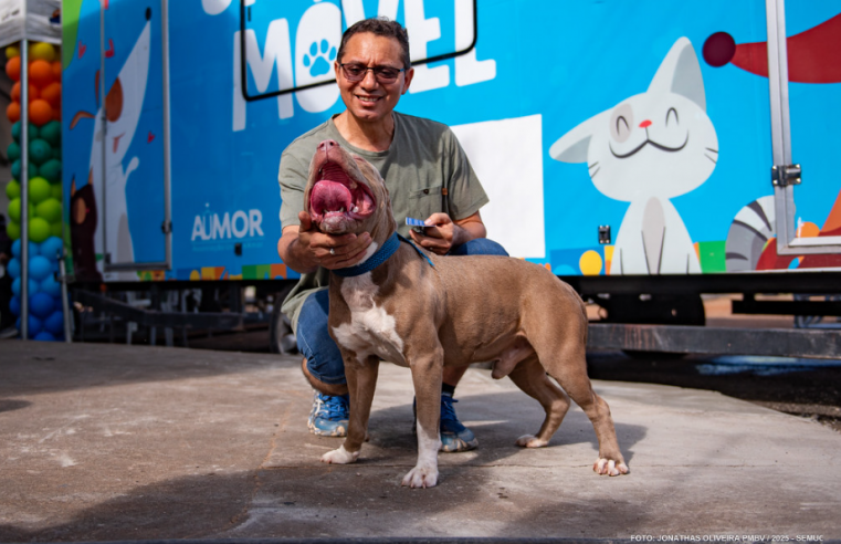 Castra Móvel inicia atendimentos gratuitos para cães e gatos no Vila Jardim