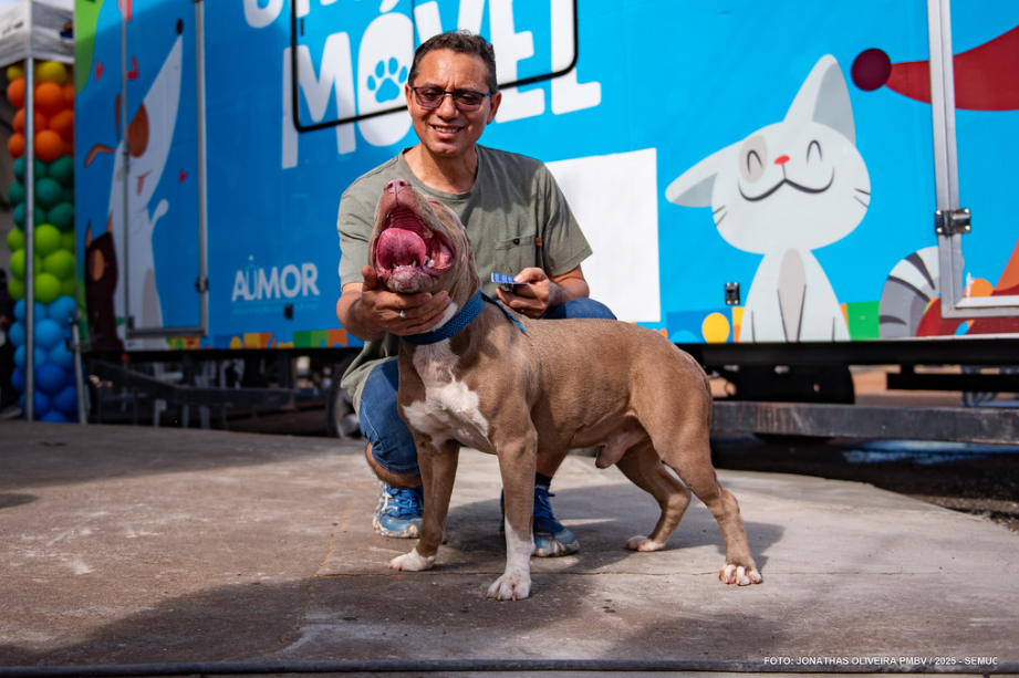 Castra Móvel inicia atendimentos gratuitos para cães e gatos no Vila Jardim