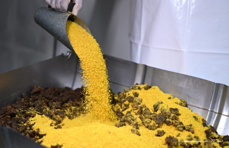 De Roraima para o Brasil – Boa Vista é oficializada como capital da paçoca de carne com farinha