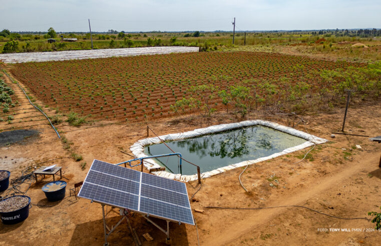 Boa Vista abre inscrições para sistemas de irrigação com energia solar voltados à agricultura familiar