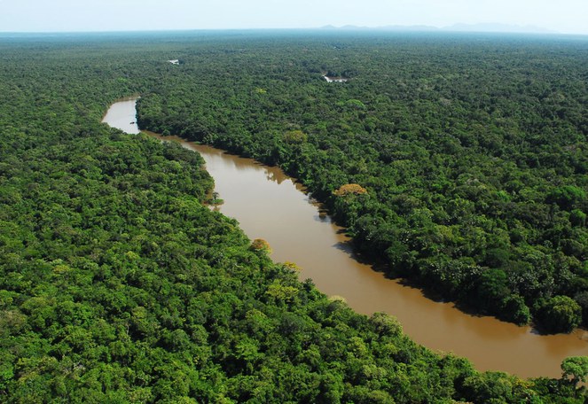 Brasil reduz desmatamento na Amazônia e no Cerrado e alcança melhores índices desde 2008