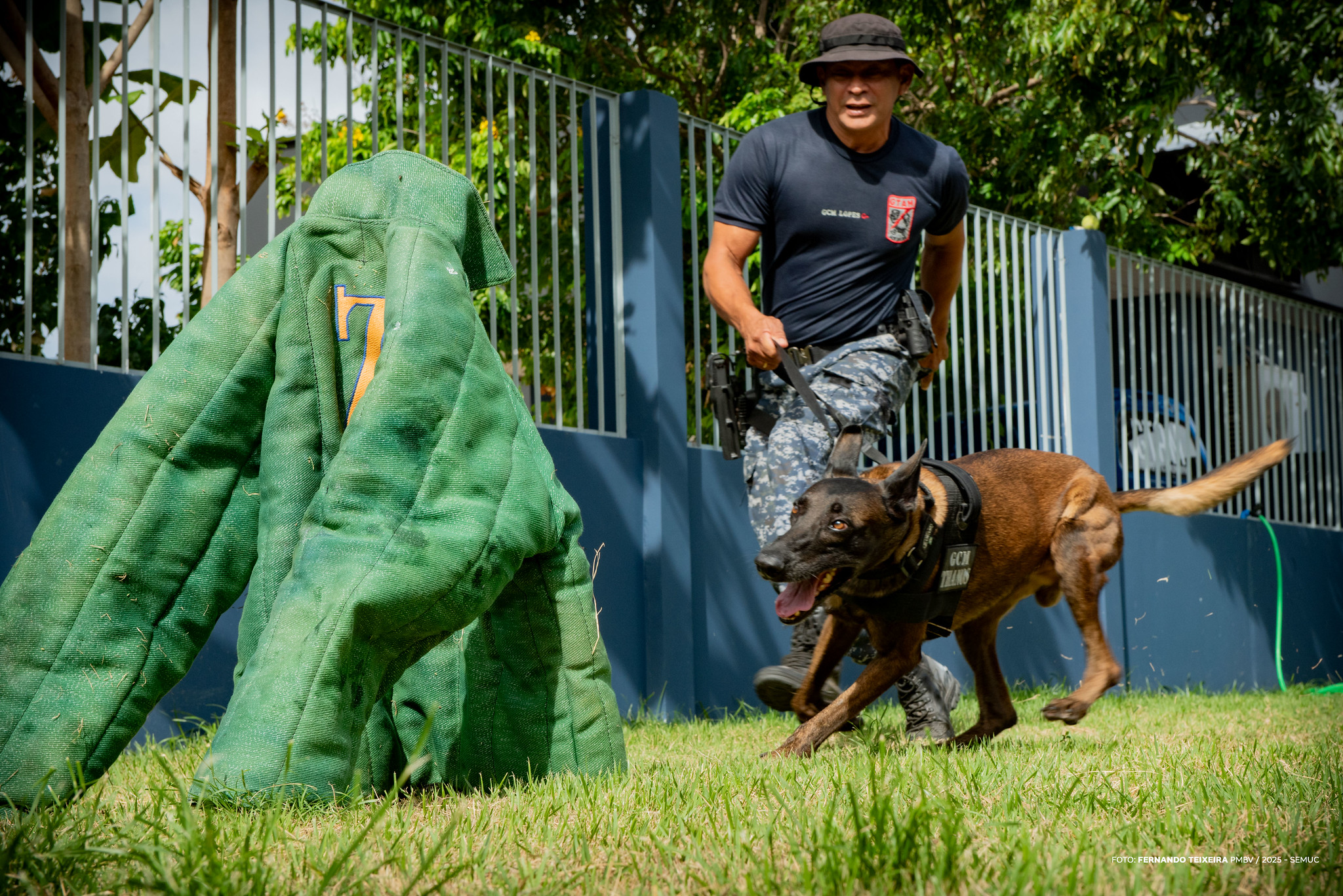 Guardas municipais de Boa Vista concluem curso de condução de cães de guerra e recebem capacitação ambiental
