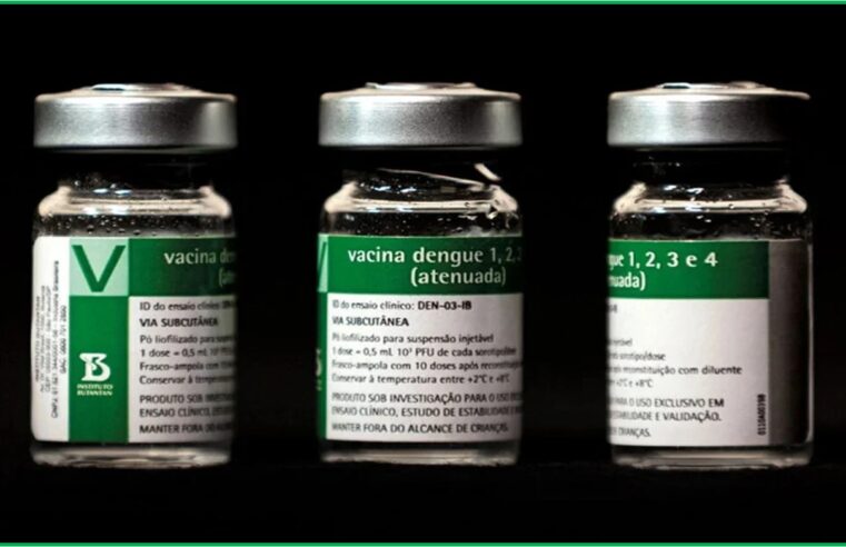 Brasil ganha 1ª vacina de dose única contra a dengue; Anvisa aprova imunizante do Butantan