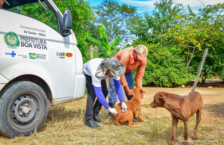 Campanha antirrábica começa nas comunidades rurais de Boa Vista e segue até dezembro