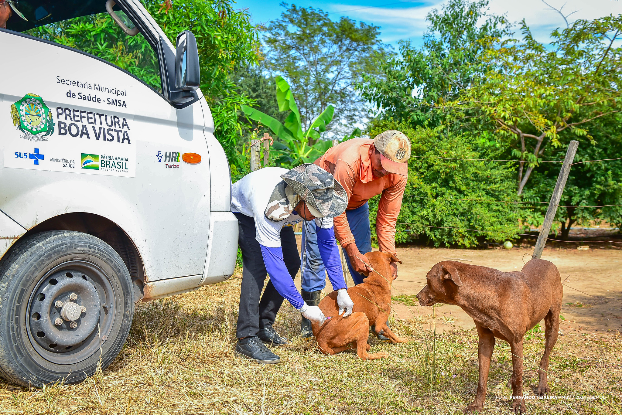 Campanha antirrábica começa nas comunidades rurais de Boa Vista e segue até dezembro