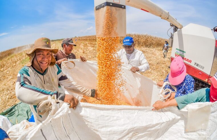 Boa Vista fortalece a agricultura familiar com investimentos e ações estratégicas no campo