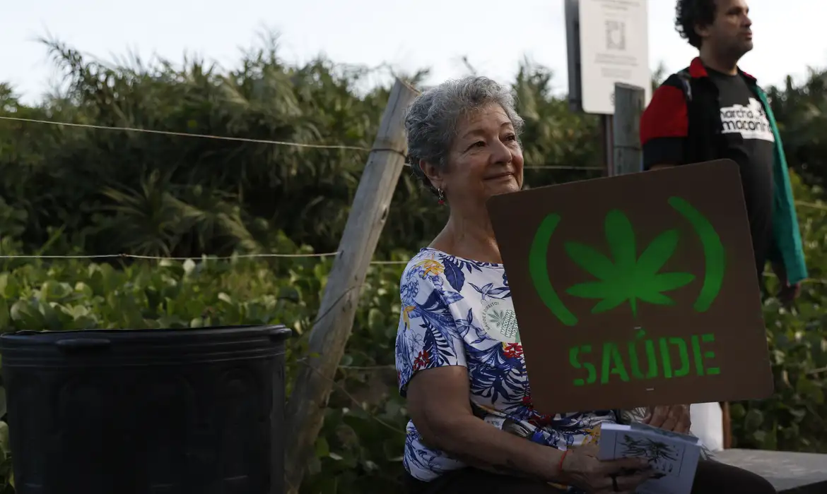 Anvisa avalia nesta quarta normas para produção controlada de cannabis medicinal