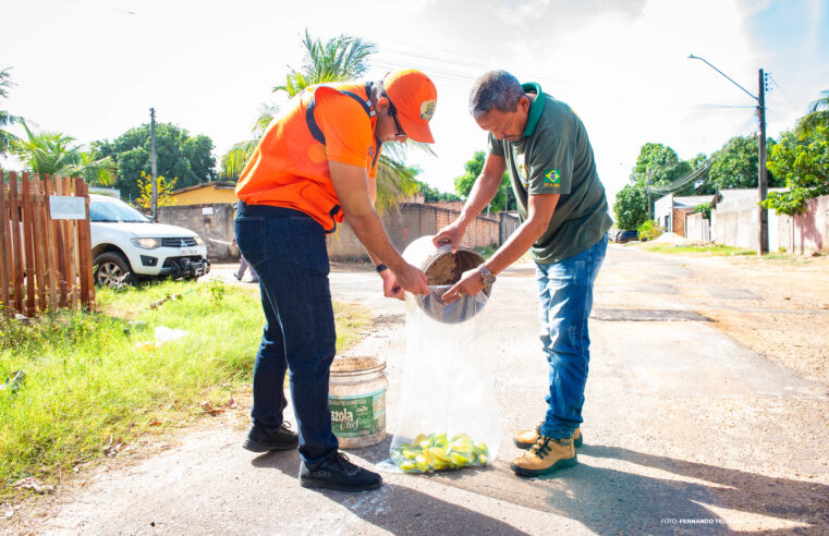Defesa Civil Municipal integra ações contra a mosca-da-carambola em Boa Vista