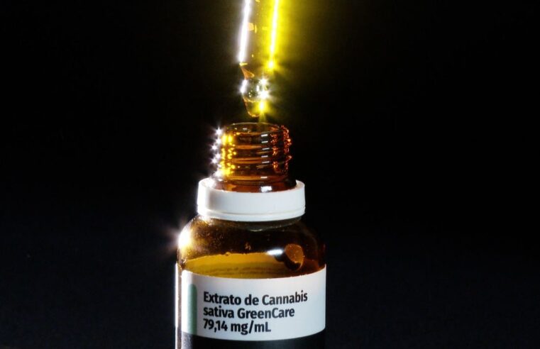 Anvisa autoriza cultivo controlado de cannabis e amplia oferta de tratamentos