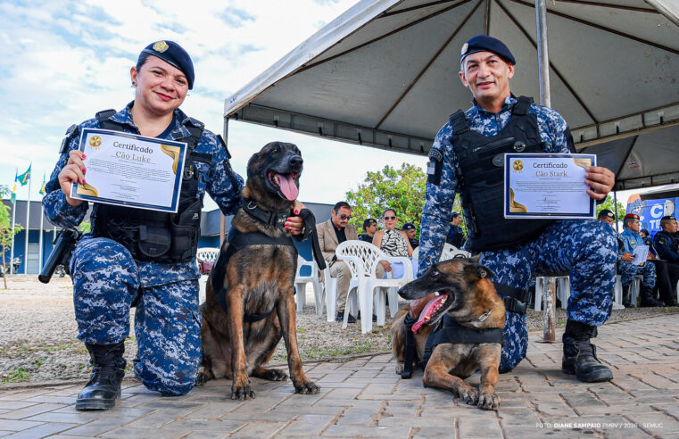 Pastores-belgas da Guarda Municipal de Boa Vista se aposentam e são adotados por seus condutores