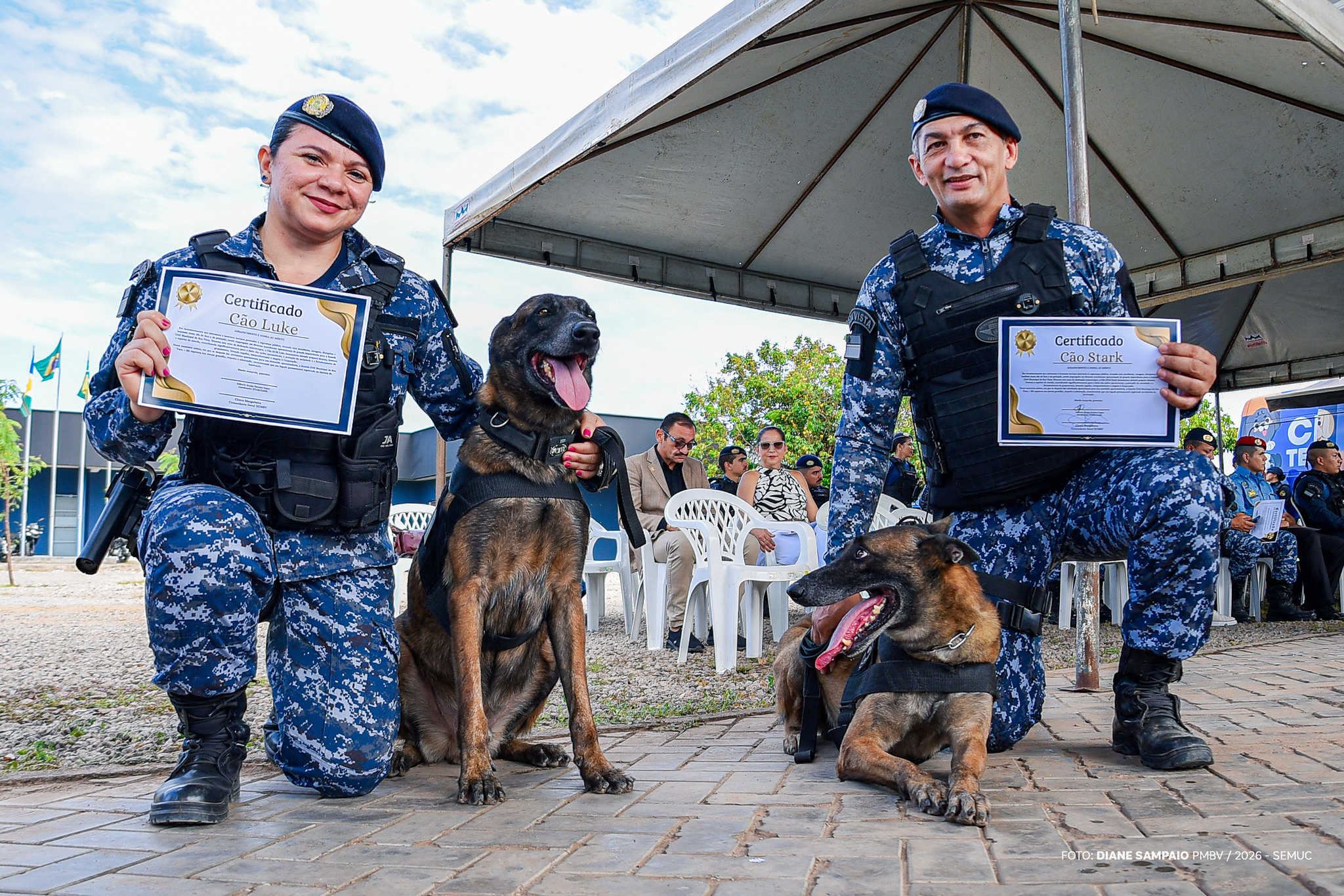 Pastores-belgas da Guarda Municipal de Boa Vista se aposentam e são adotados por seus condutores